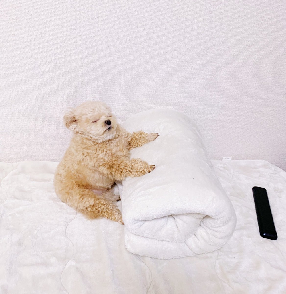 奴才：還真的挺像樣的