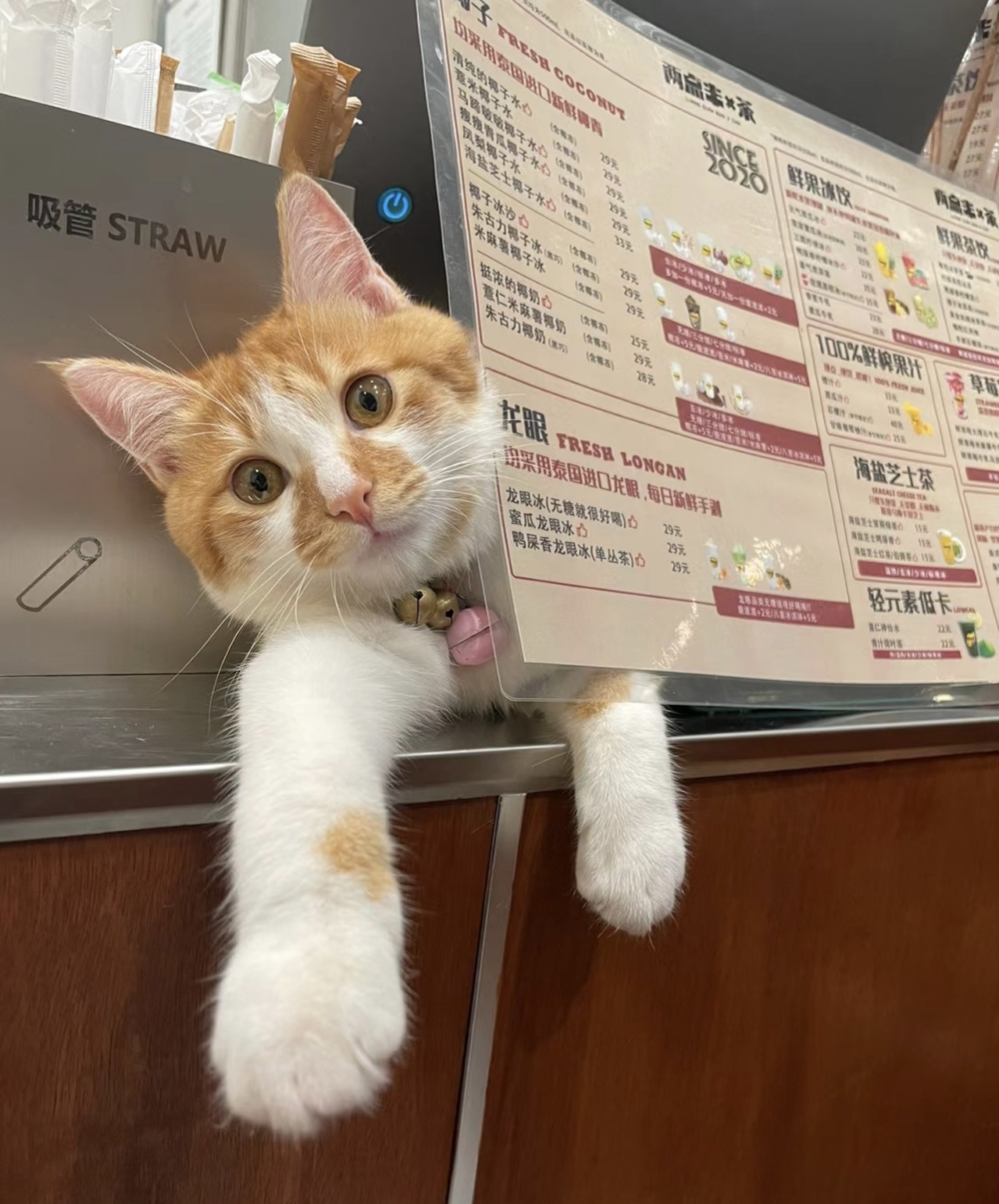 奴才：今天客戶有點多啊