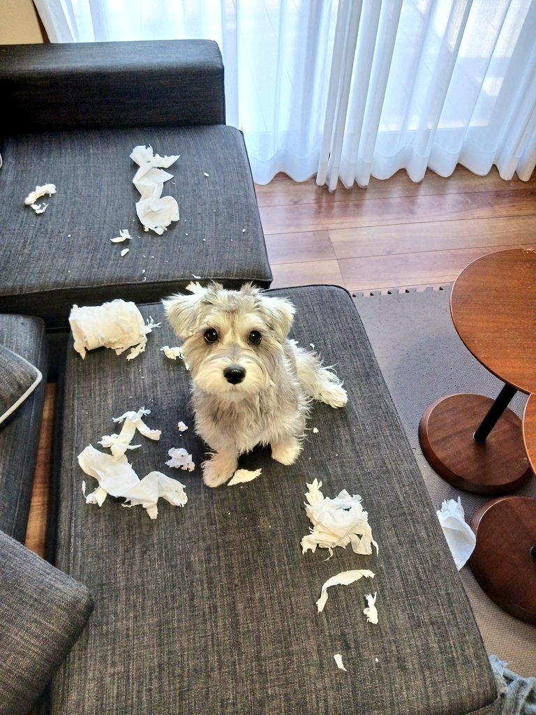 奴才:你太傷我的心了