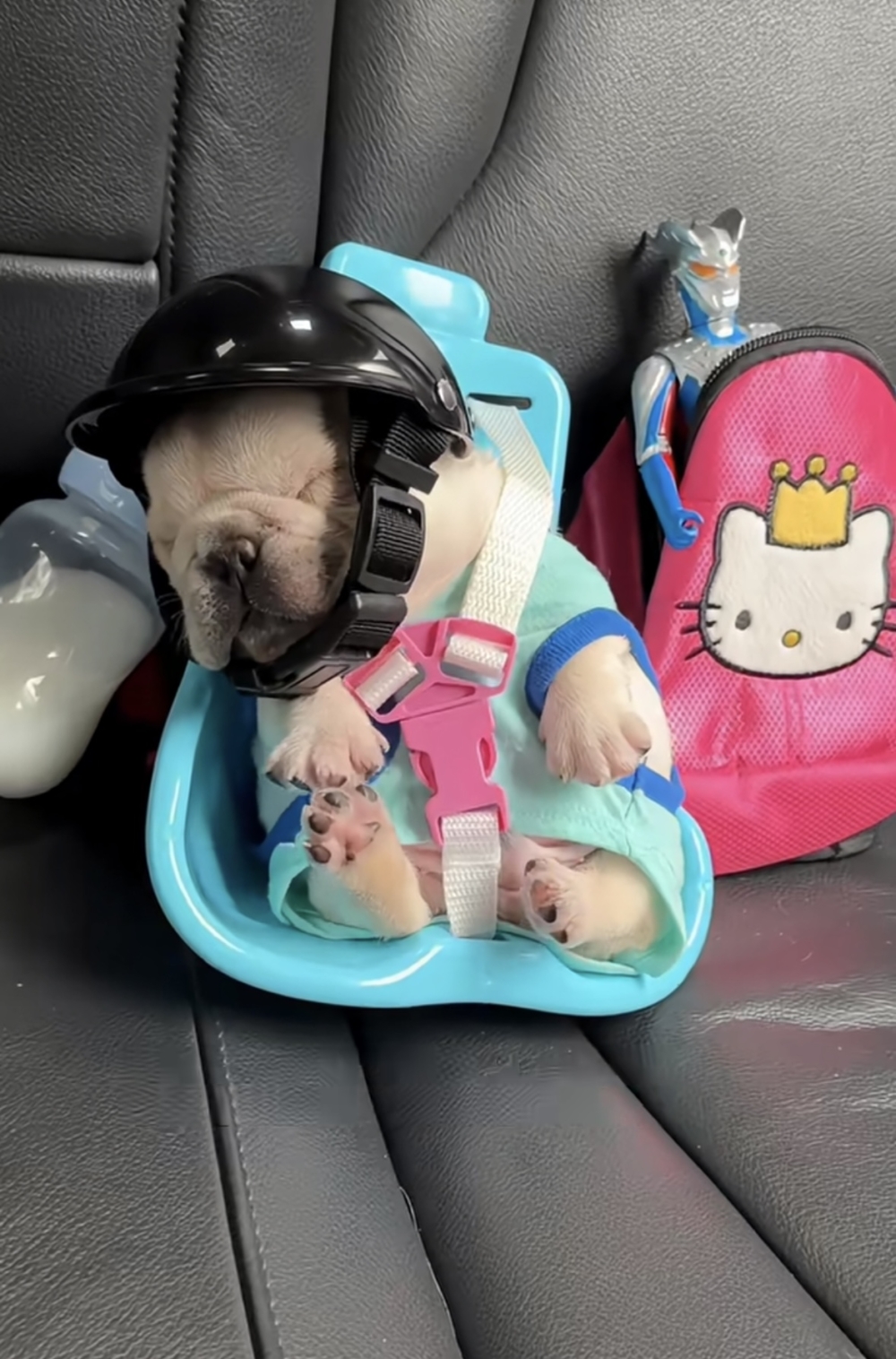 奴才：你完美印證「上車睡覺，下次尿尿」的旅行準則囉