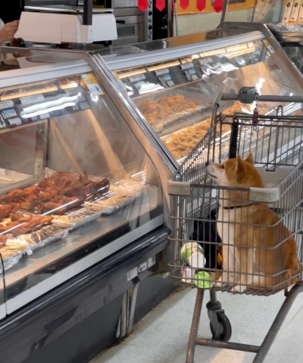 奴才：是你嘴饞了吧