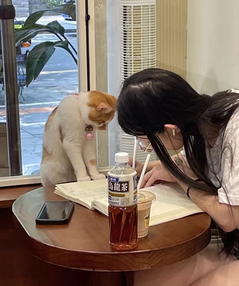 奴才：你真的很棒欸