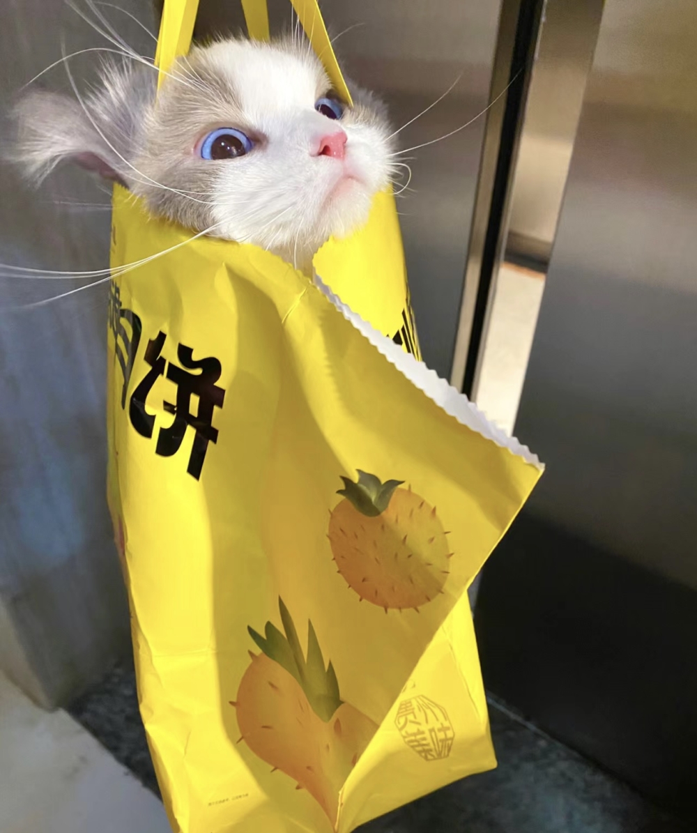 奴才：這就是讓你來鍛鍊膽量的囉