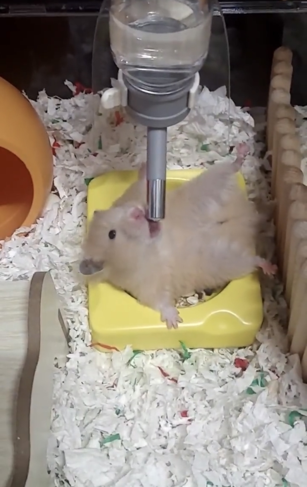 奴才：好佩服啊