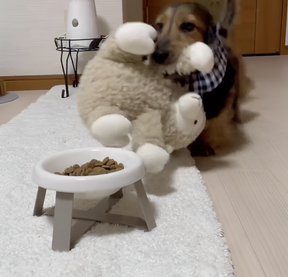 奴才：太友愛了吧