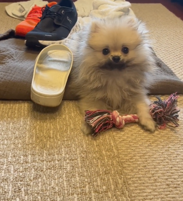 奴才：你別弄壞了