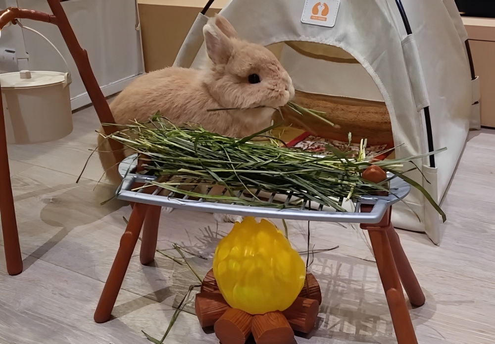 奴才：有這句話，一切都值了