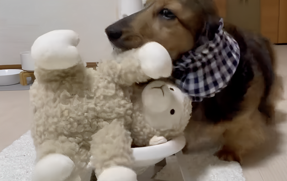 奴才：你的心意它心領啦