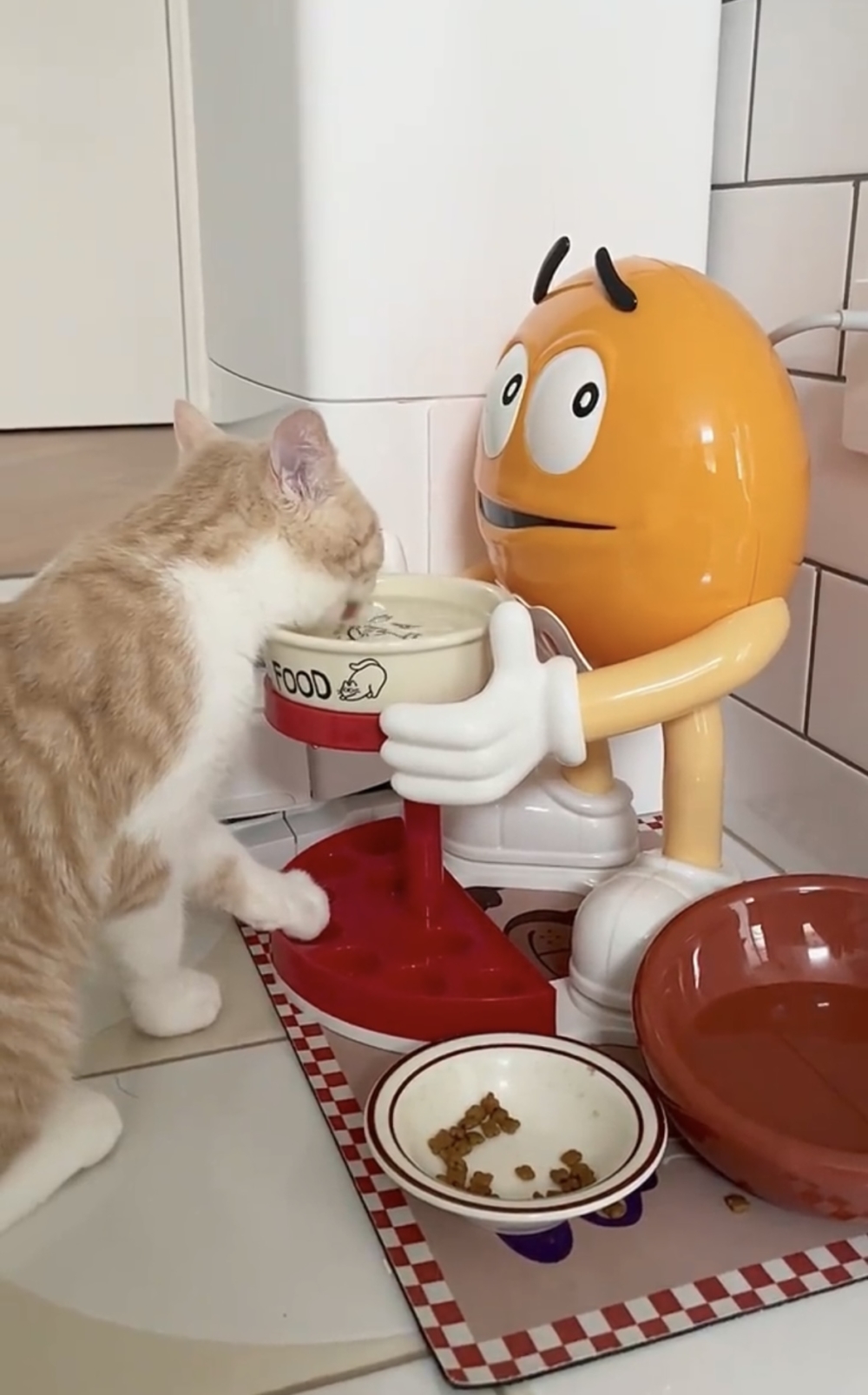 奴才：才沒有啦