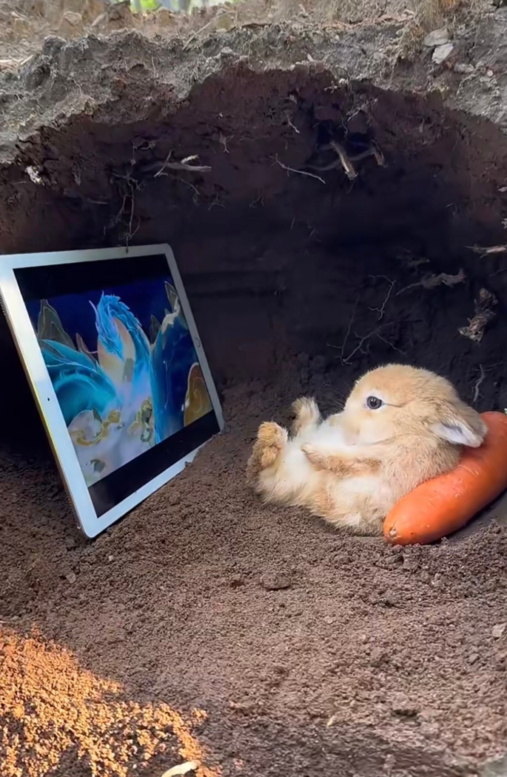 奴才：要不你讓個位也讓我享受一下？