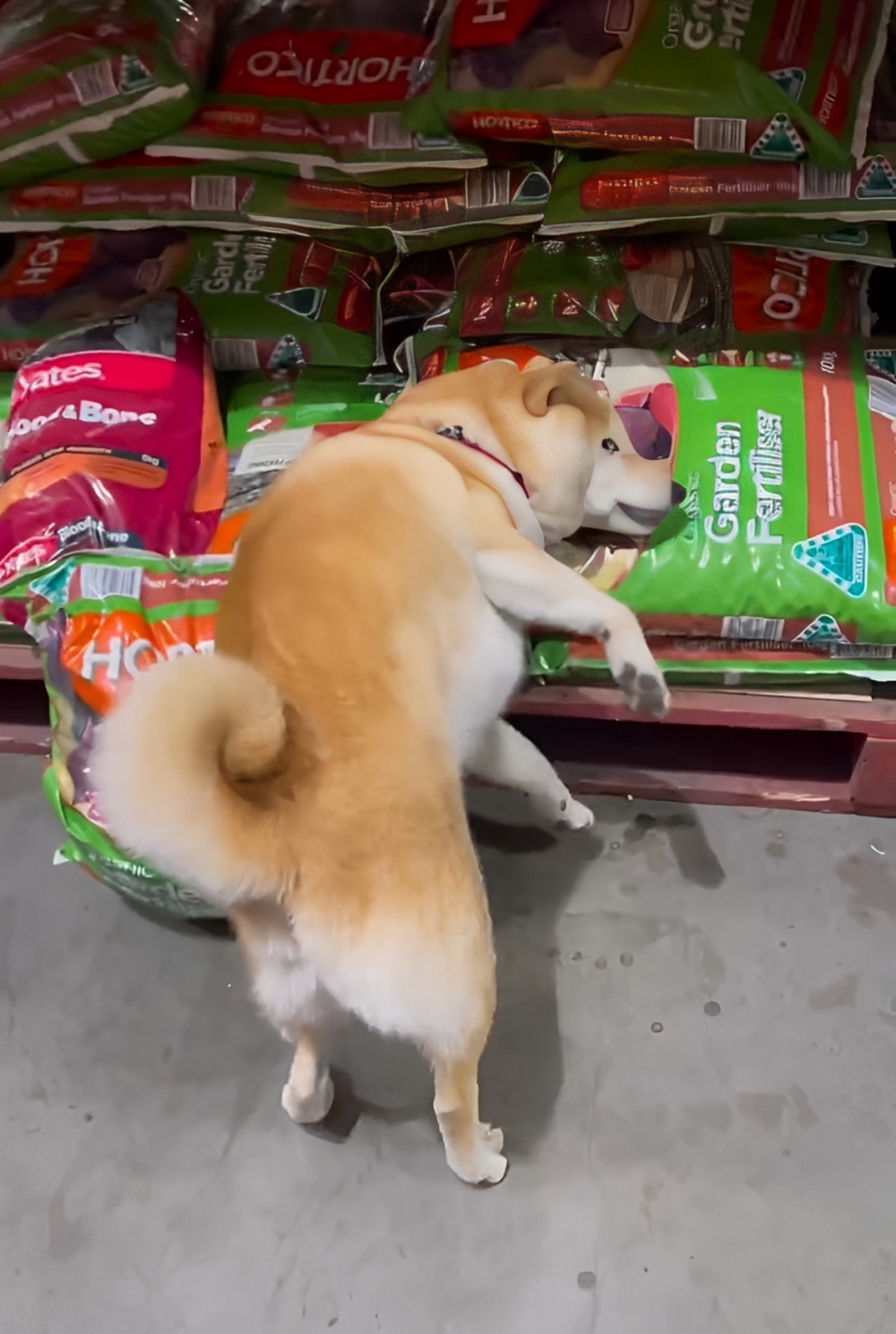 奴才：你不能要了