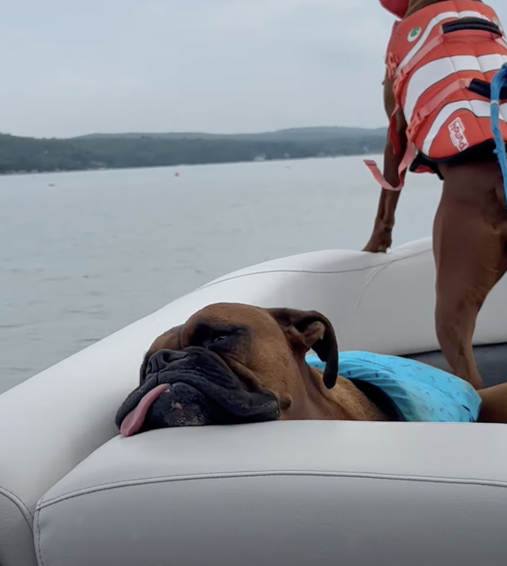 奴才：真的很會享受