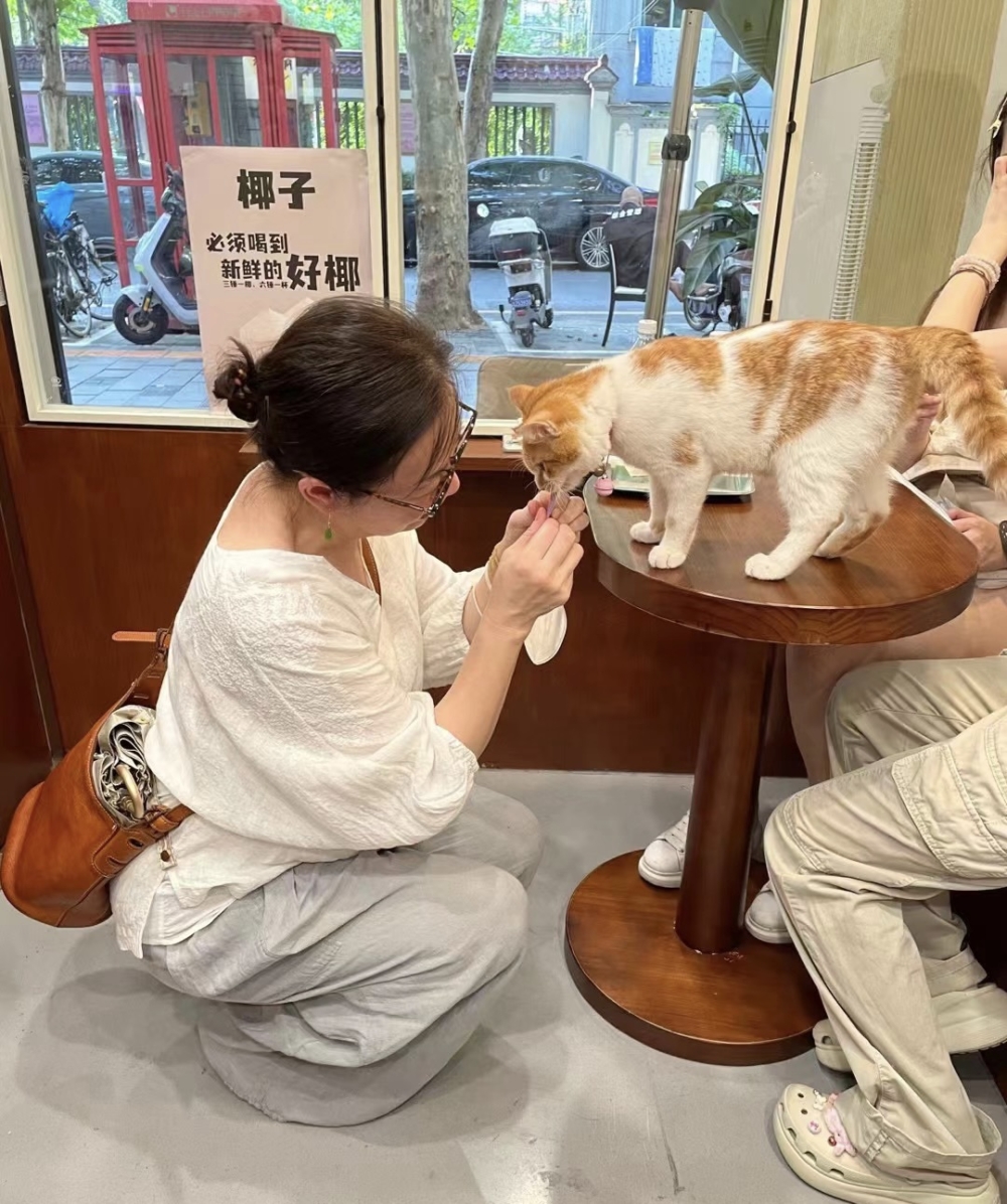 奴才：好啦～決定收養你了