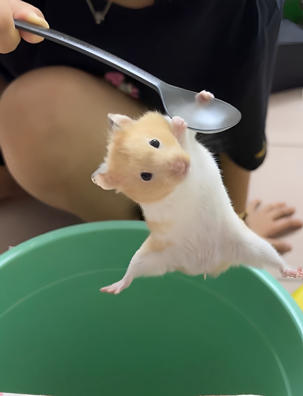 奴才：那你可要抓穩囉