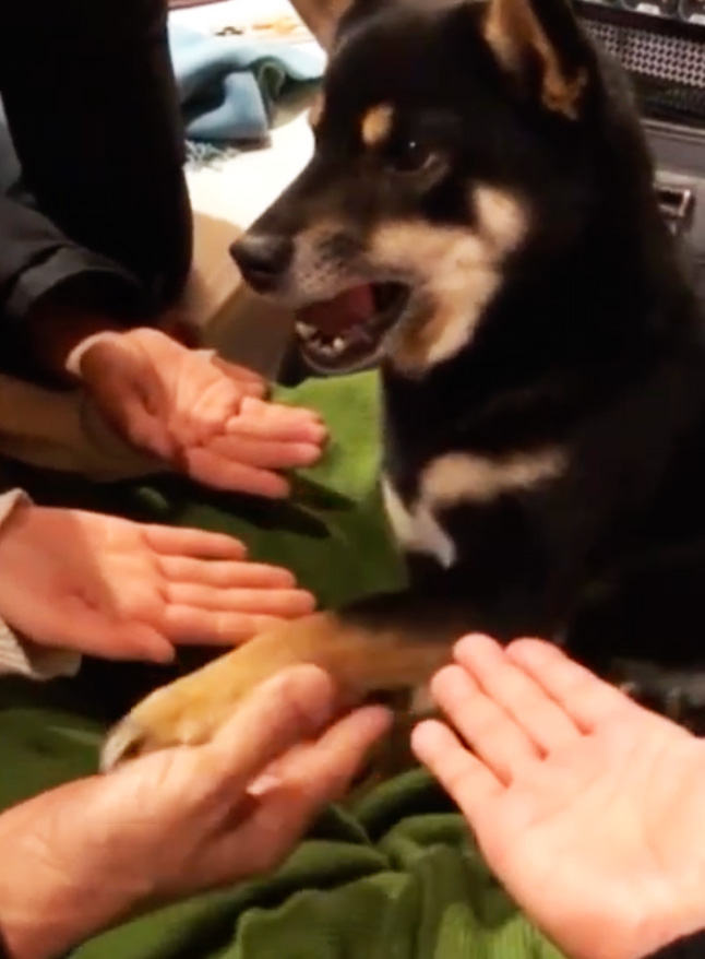 奴才：受寵若驚欸～