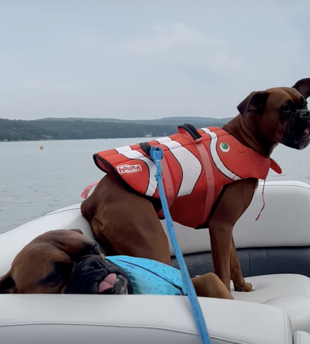 奴才：他可能也是在享受啊