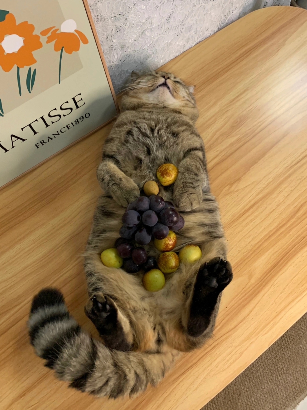 奴才：那是我誤會你囉