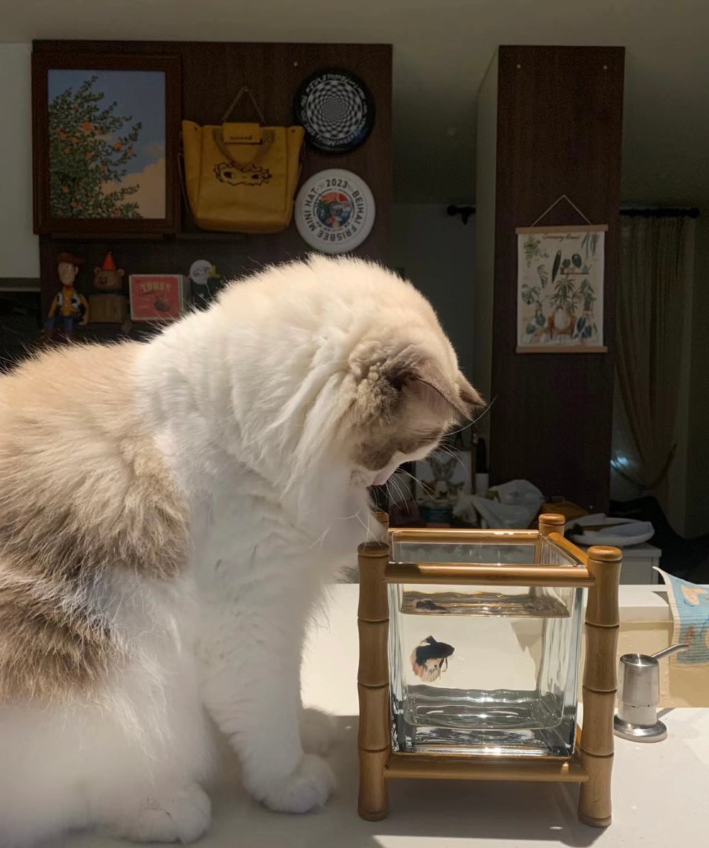 奴才：真的嗎？（懷疑...