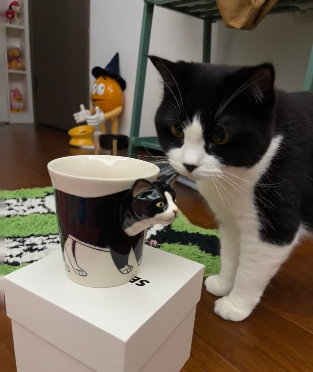 奴才：迷你版的你呀