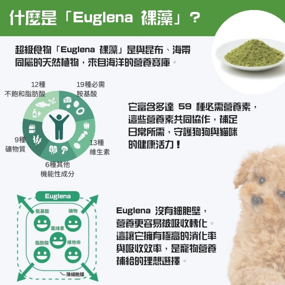 來自日本的超級食物：Euglena。
