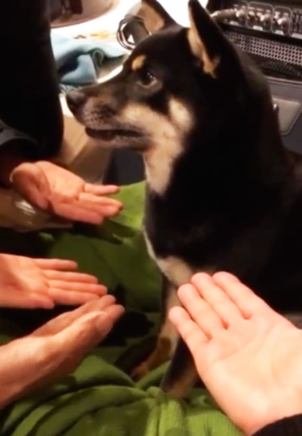 奴才：跟著你的心走就好