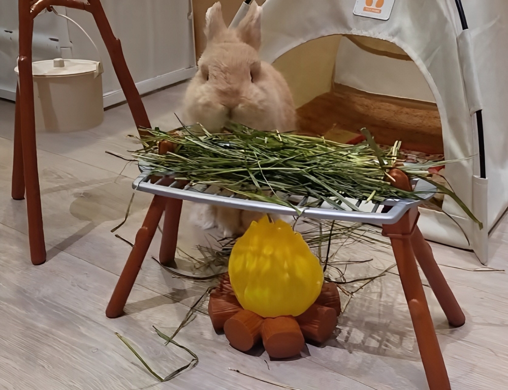 奴才：肯定給你準備最好的呀