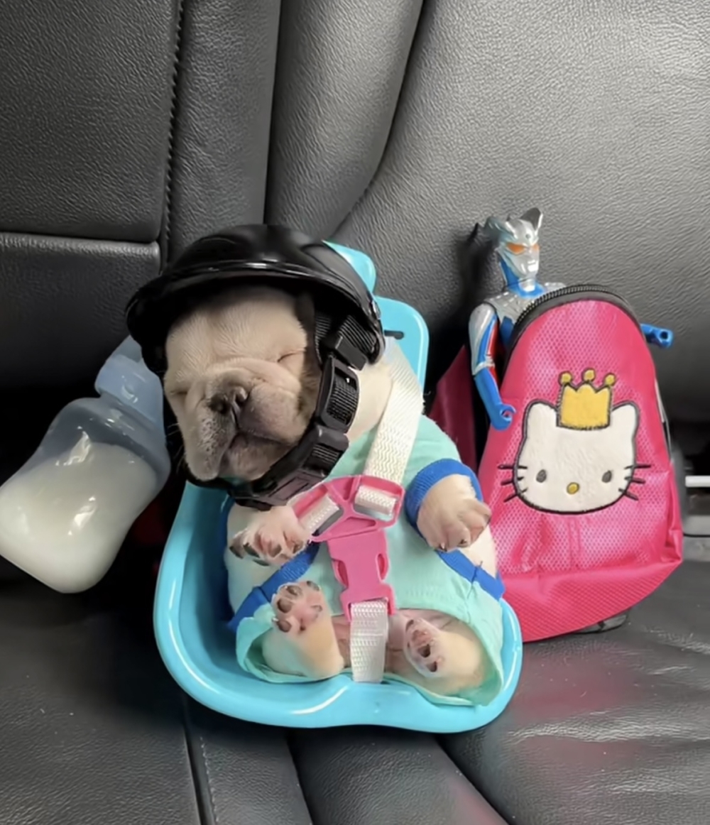 奴才：好吧～好吧～