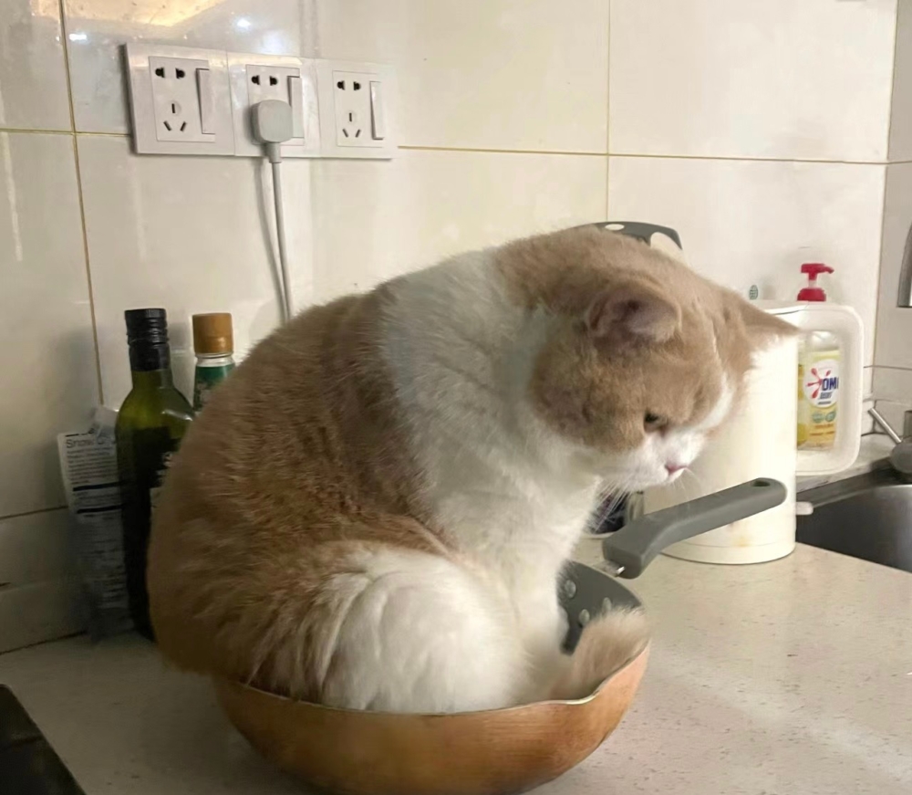 奴才：這是我煮飯的工具欸