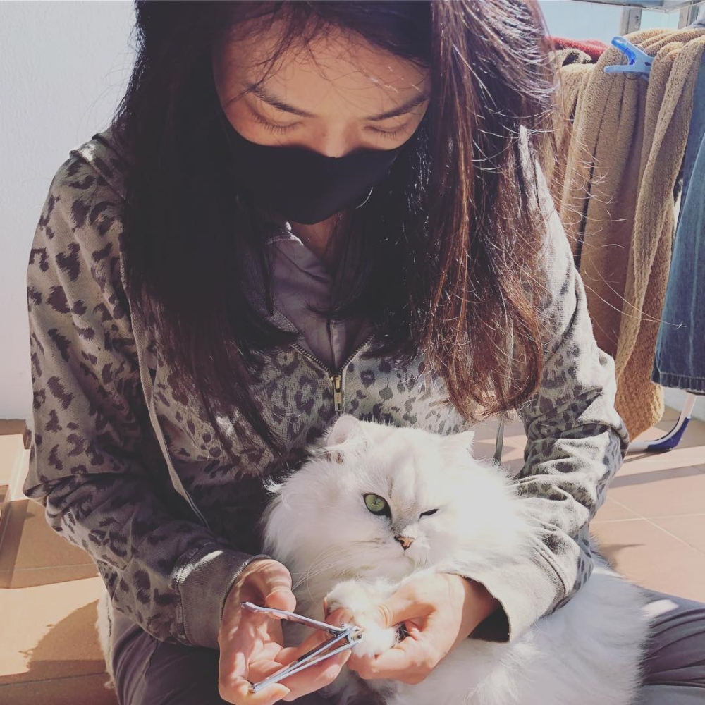 舒淇與「MayMayMan」