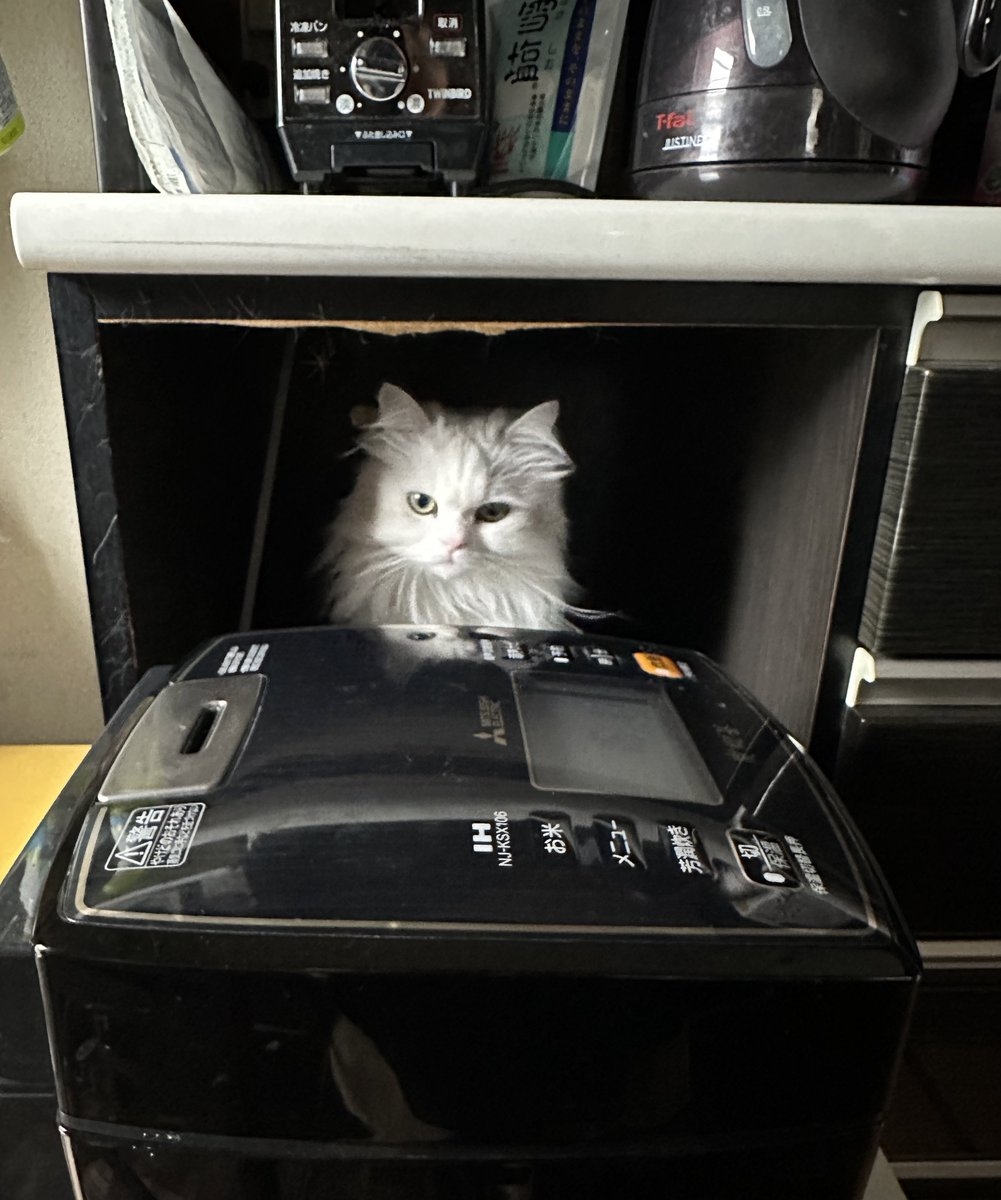 奴才：我就是太了解你了