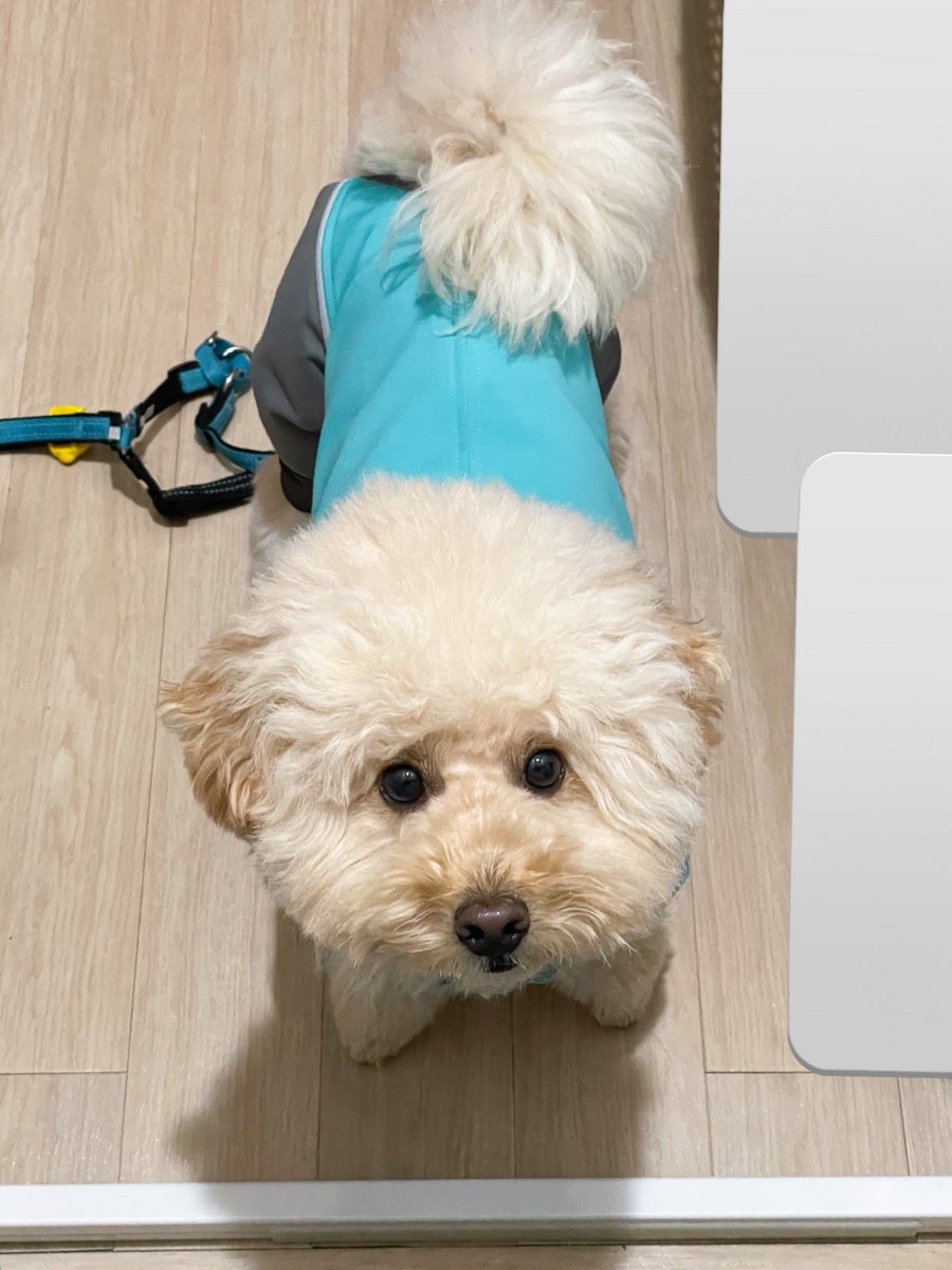 奴才：好吧！我也這麼認為（傲嬌