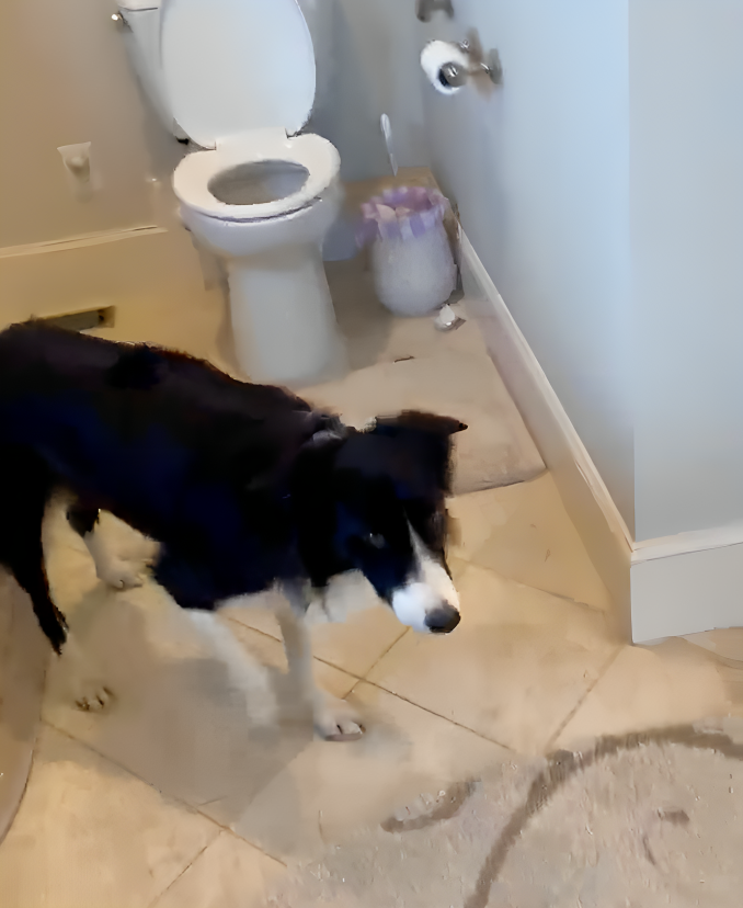 奴才：你都沒有覺得這水有一股怪味嗎？