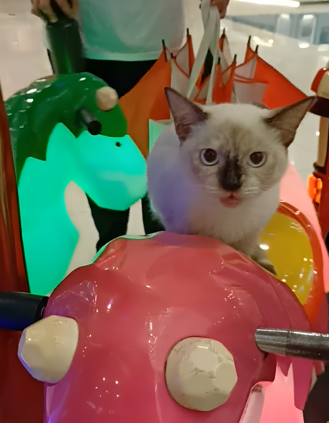 奴才：這就刺激了嗎？