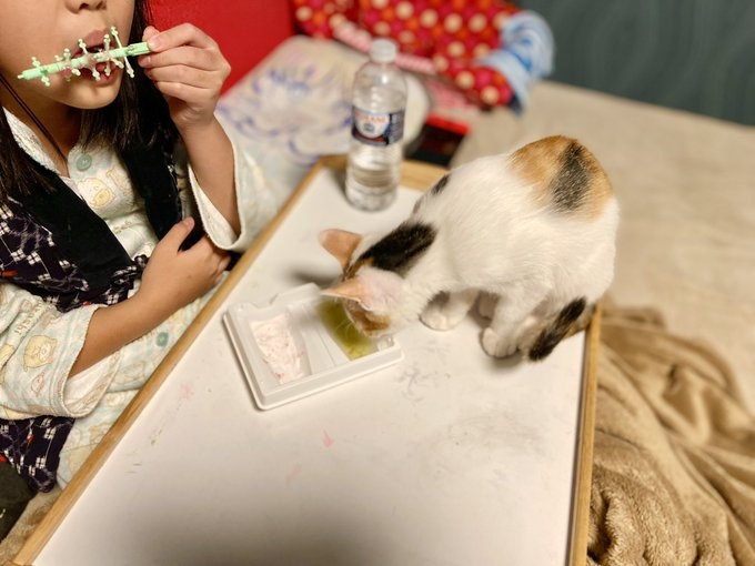 奴才：好吧～只能慣著你囉