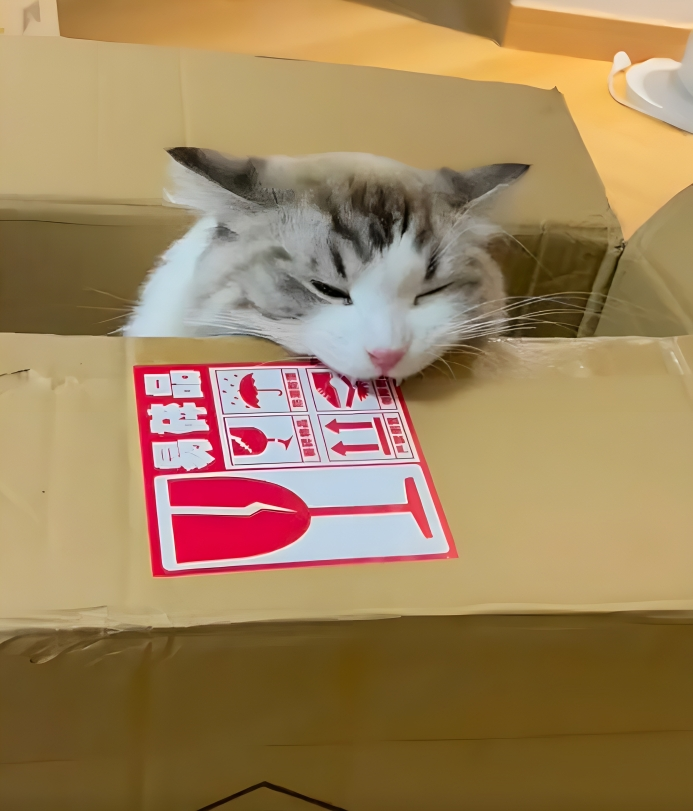 奴才：沒錯，就是這裡