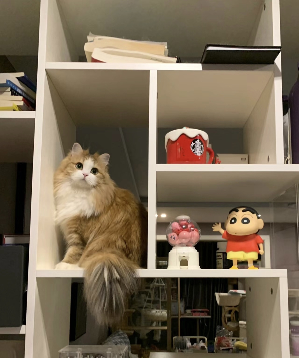 奴才：夠義氣了吧～