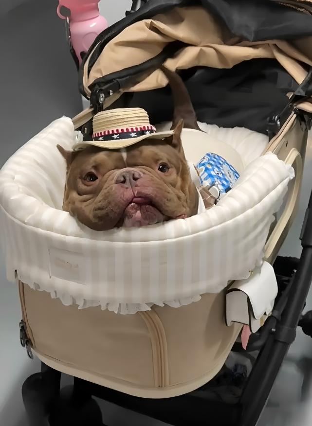 奴才：別！你別激動喔