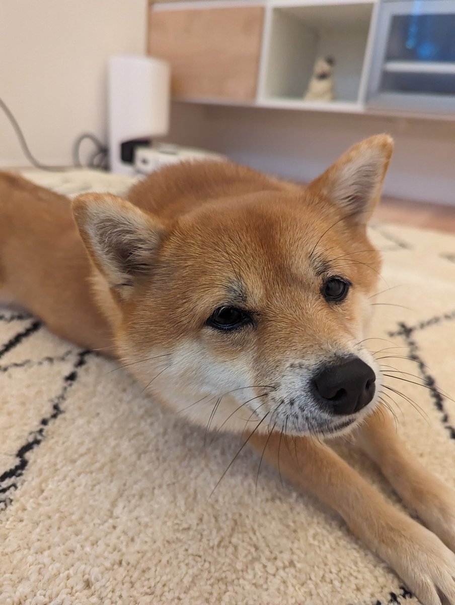 奴才：我好沒存在感啊