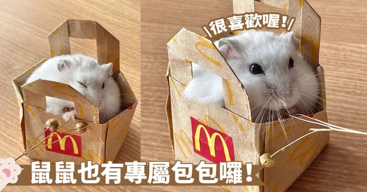 麥當勞紙袋新玩法～鼠鼠又有新玩具啦！創意手作還得靠奴才啊