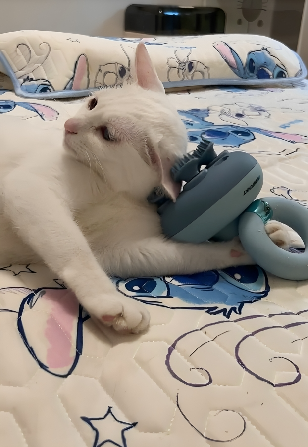 奴才：好吧～給你買個零食可以嗎？