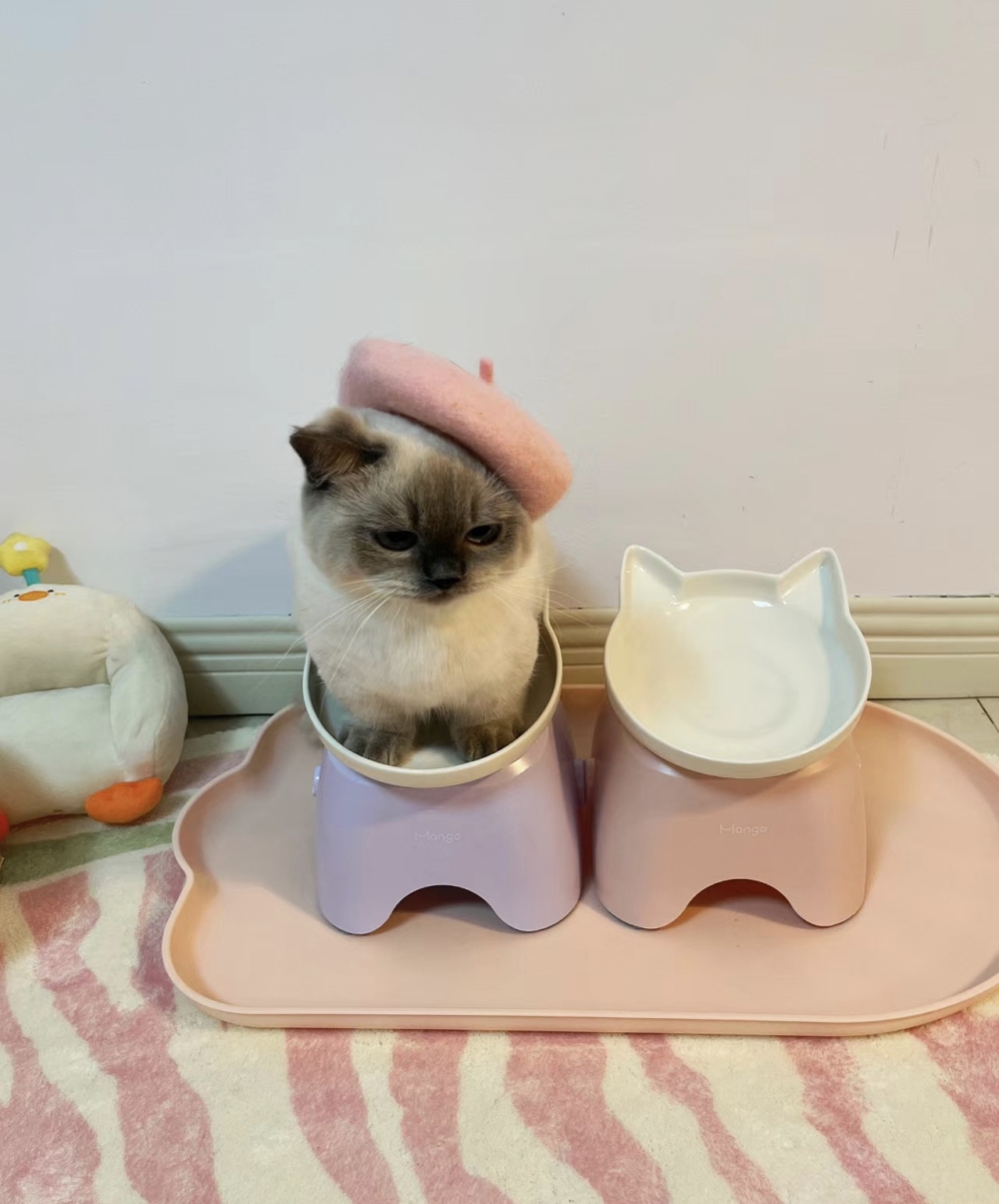 奴才：哎呦，不好意思忙忘了