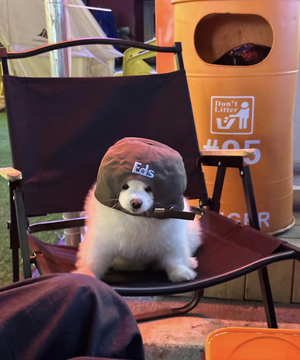 奴才：只能選一個啦