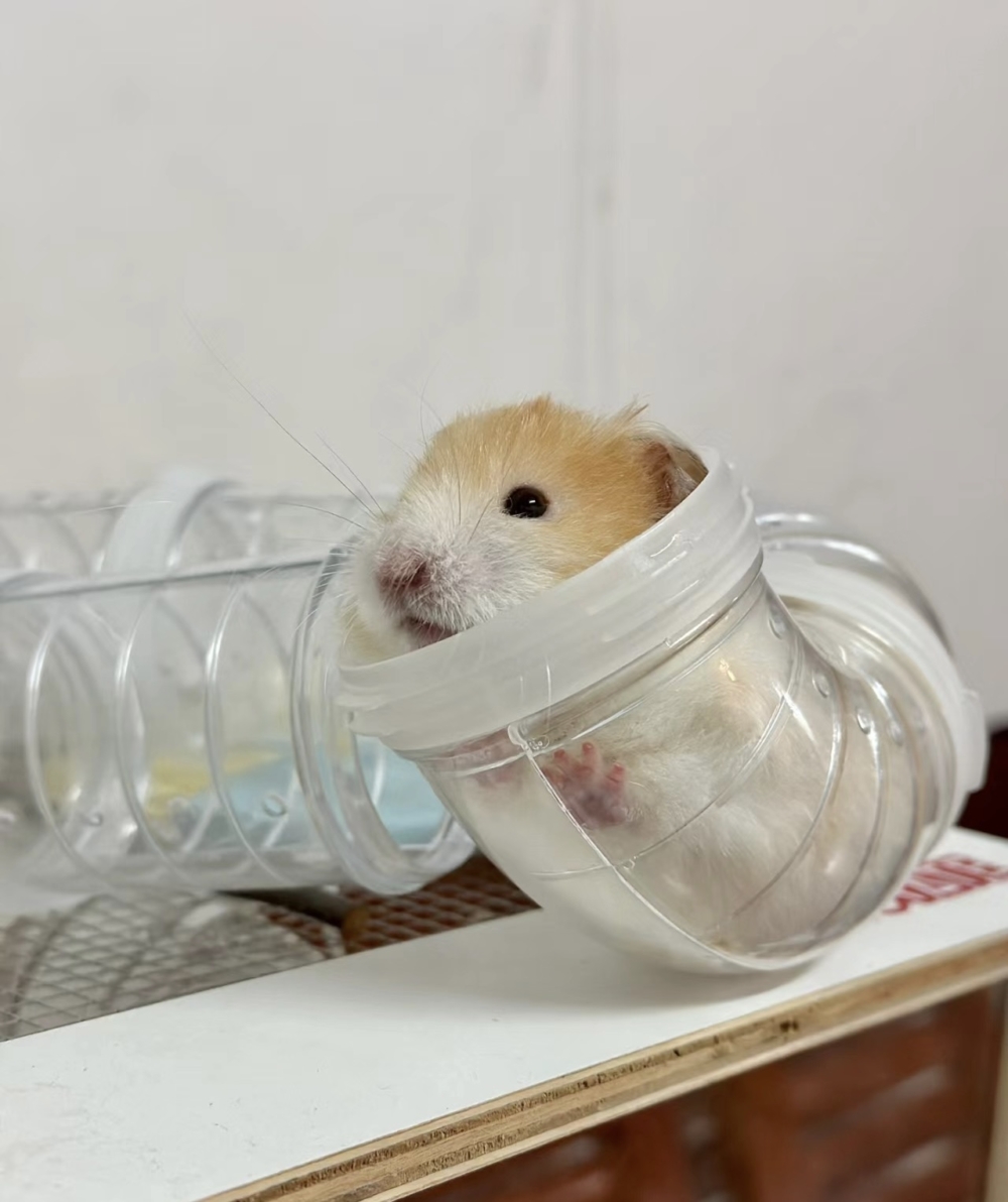 奴才：最重要你喜歡