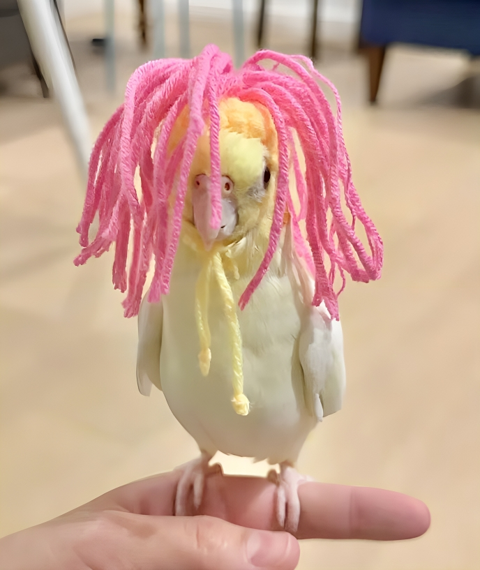 奴才:這麼說還真像