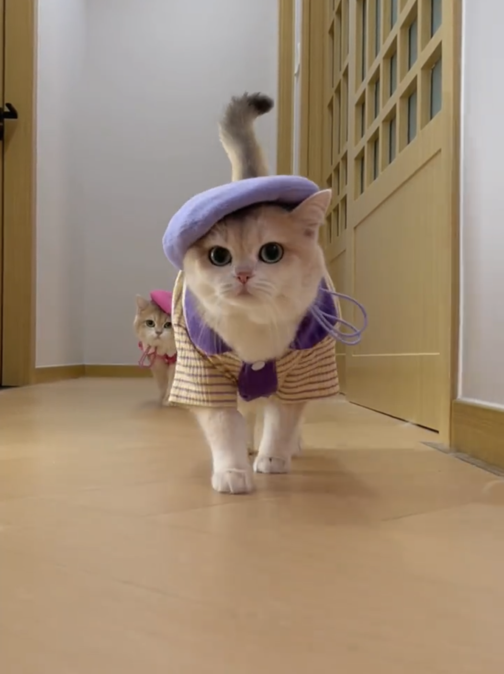 奴才：非常值得稱讚啦！