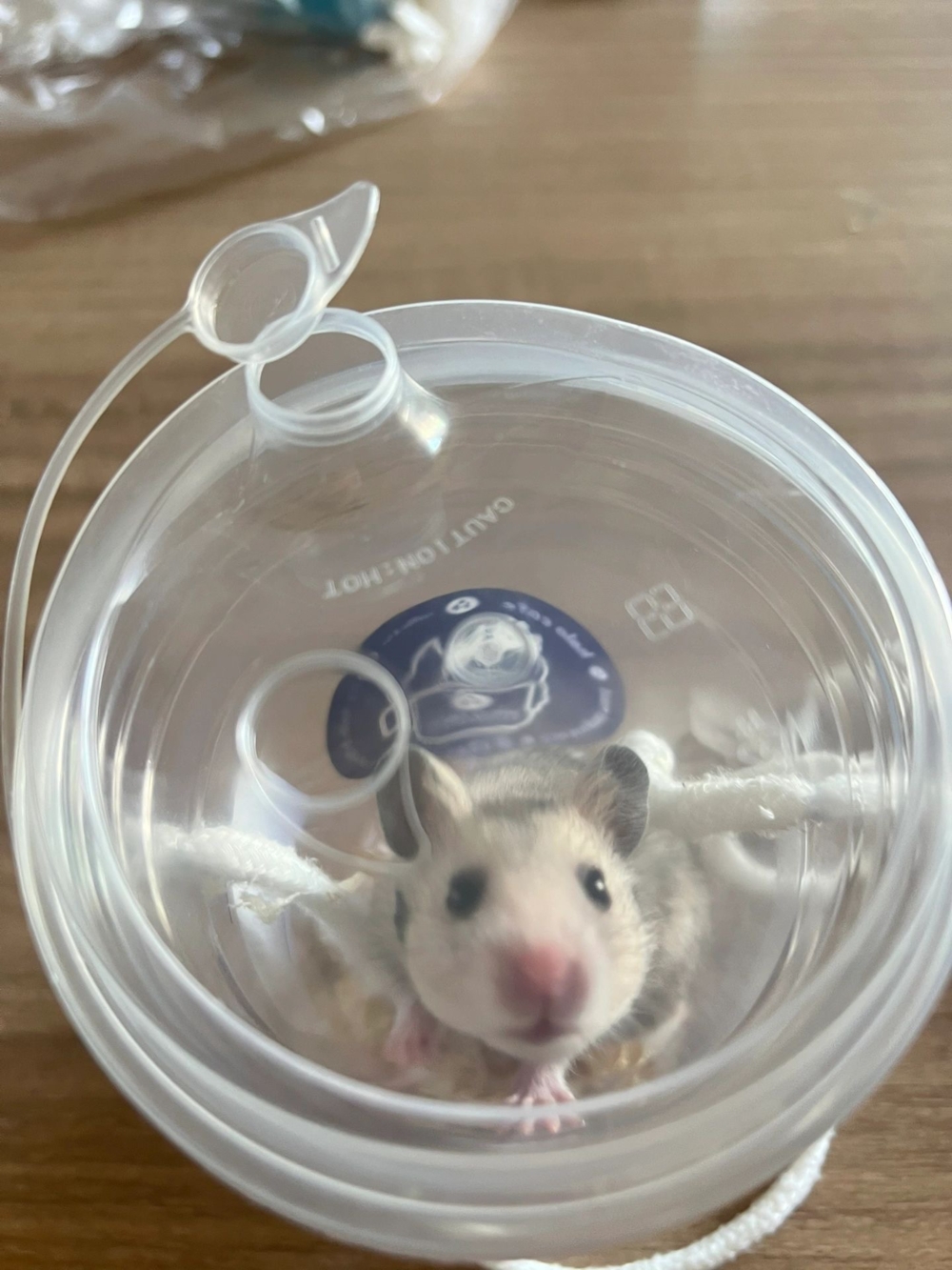 奴才：那就太好了