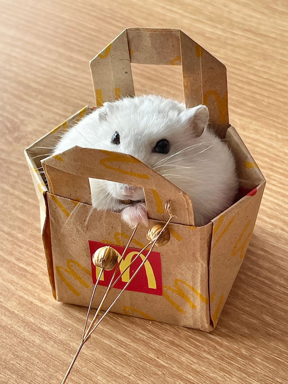 奴才：揪甘心欸～