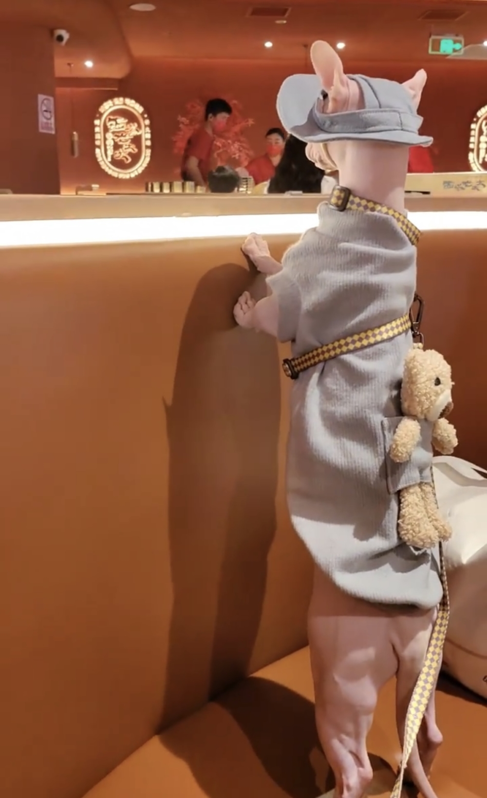 奴才：求生慾好強喔～