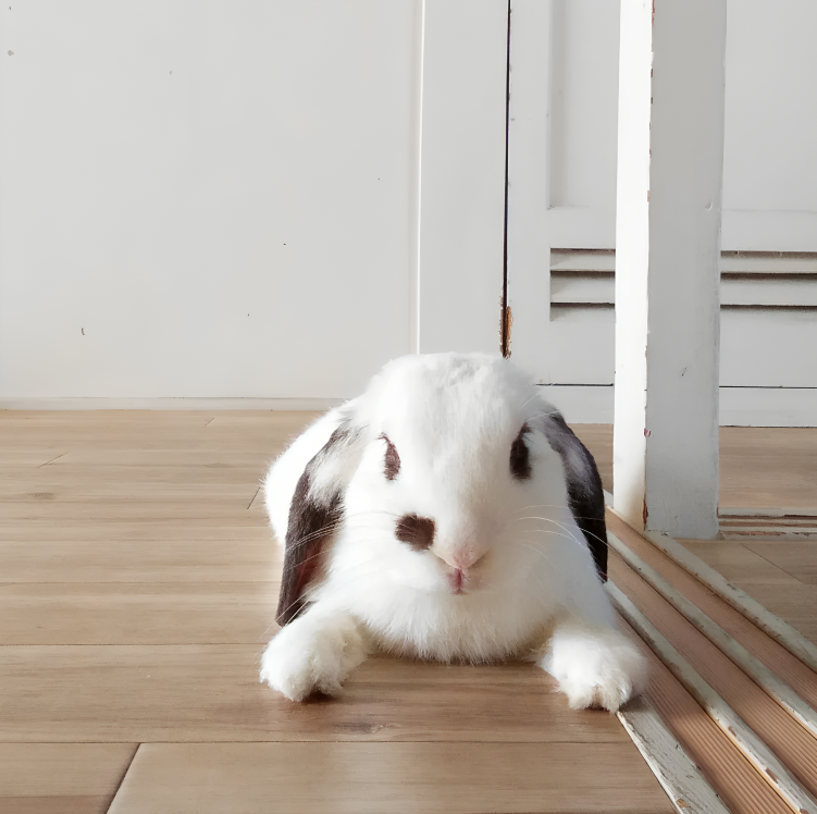 奴才：別客氣啊