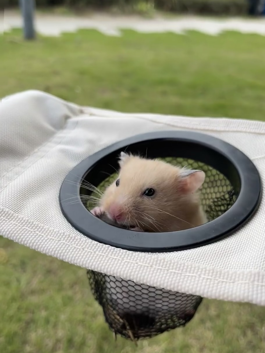 奴才：還算你有良心